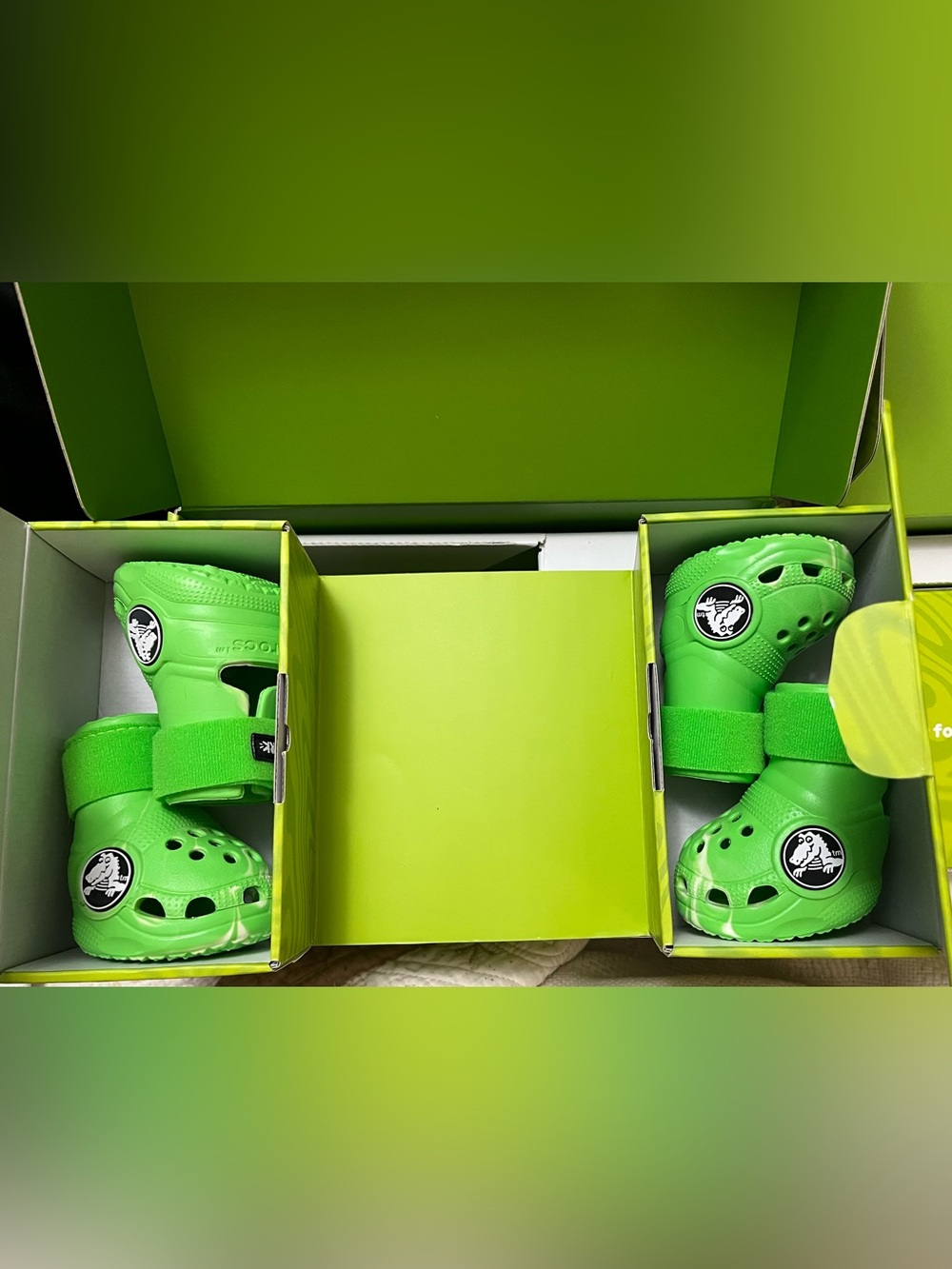 Crocs for Dogs - Picture 2 of 7